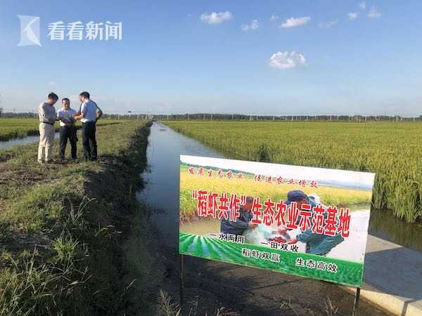 欧美成年人性生活视频在线免费看