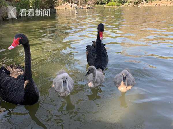 操逼免费软件