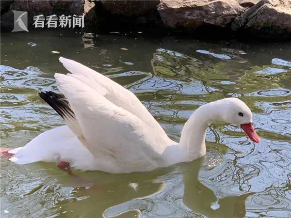 久久h