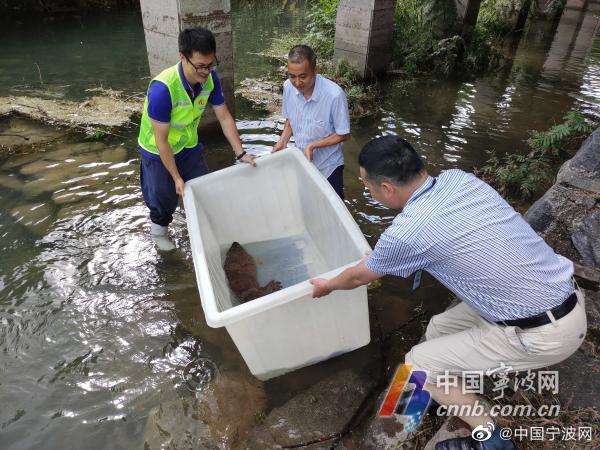 欧美疯子高潮Xxxx喷水