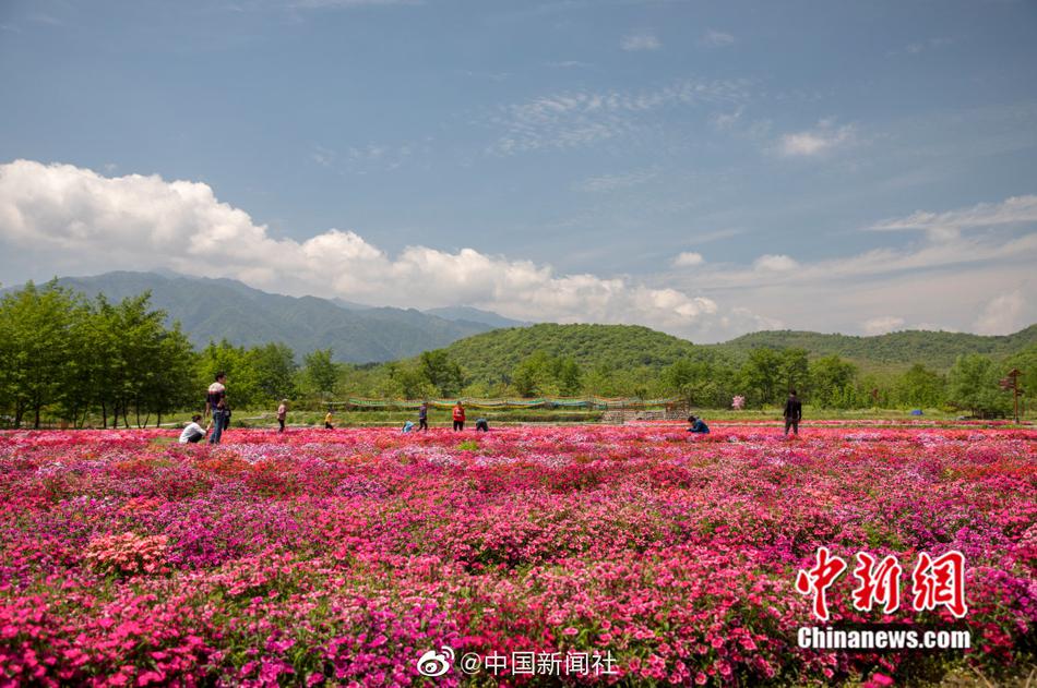 老色批影院