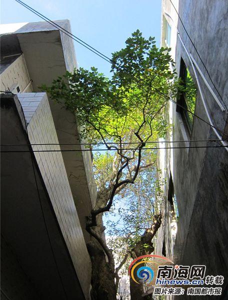 欧美人成Xⅹxx站