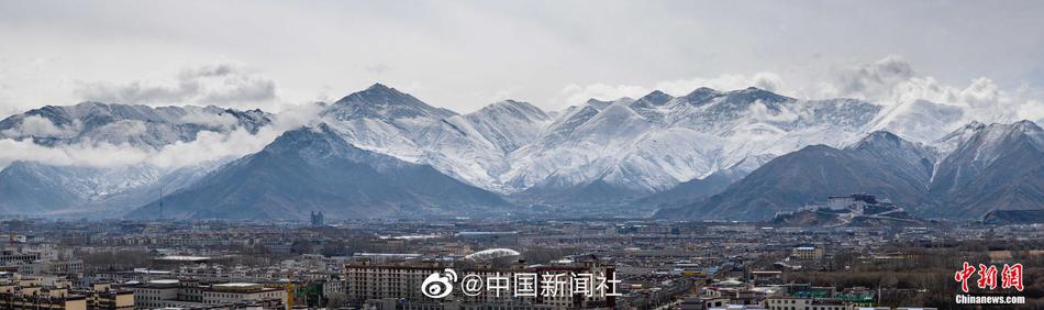 91视频一区