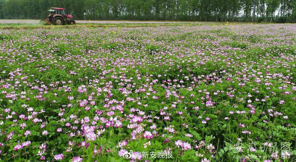 小卡：新援们发挥不错 他们在场上做自己并展示侵犯