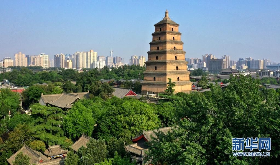 厨房掀开馊了裙子挺进去电影