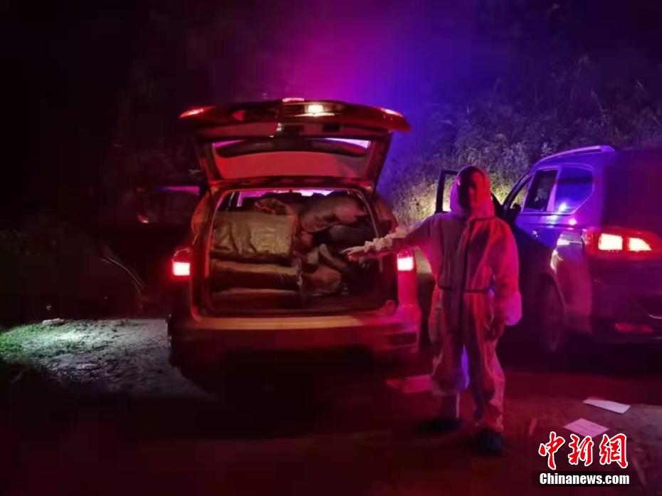 黄色三级三级三级三级片