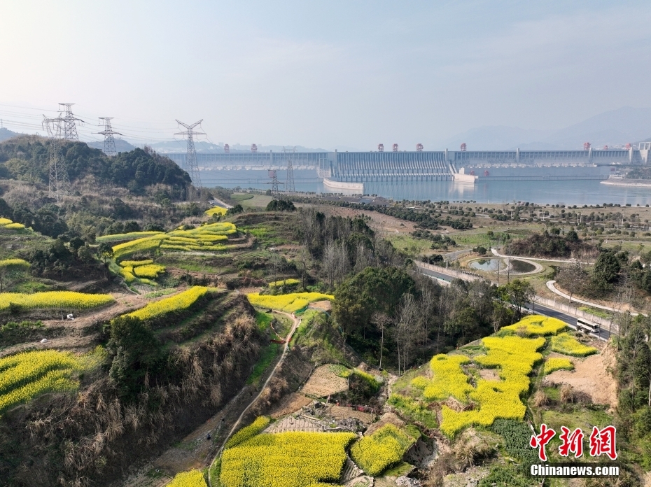 飯岡加奈子中文