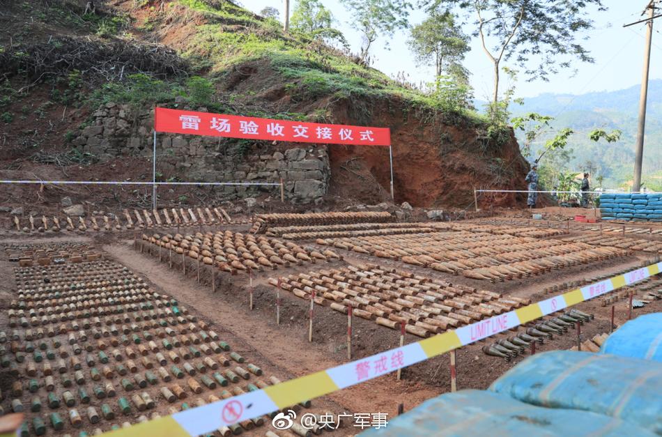C逼软件