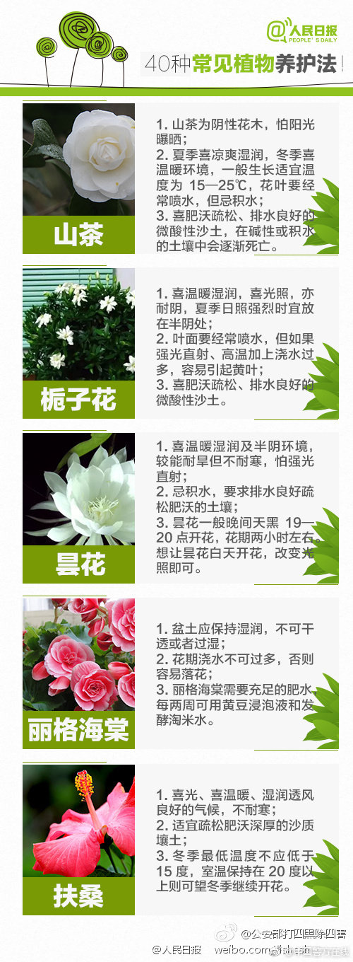 爷孙乱伦小说