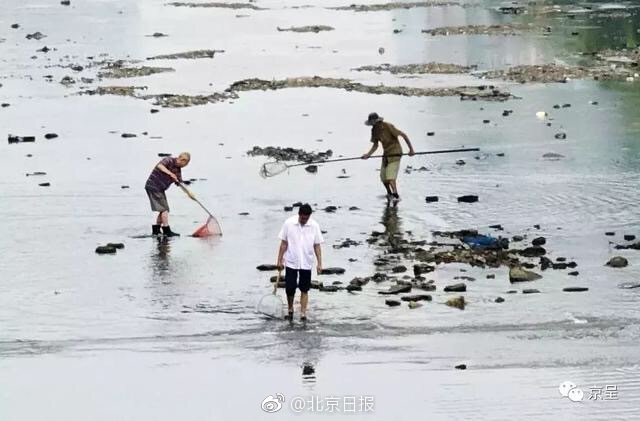 传承发展传统文化 培育共有精神家园