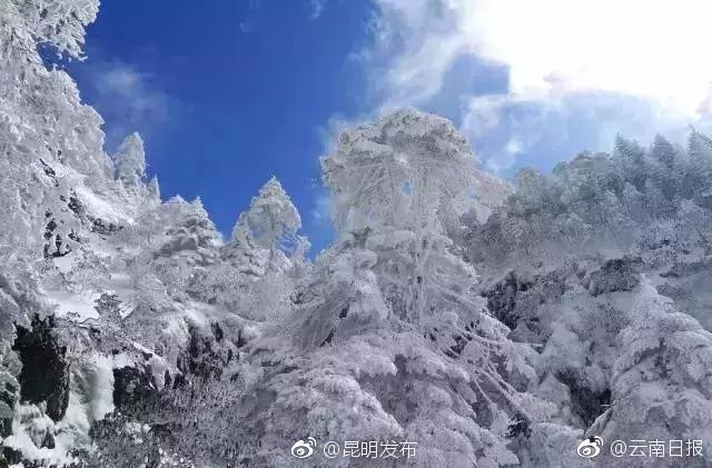 美女裸体全身秘 遮挡大肚子