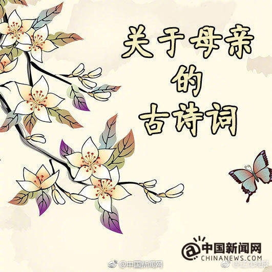 天天干天天日
