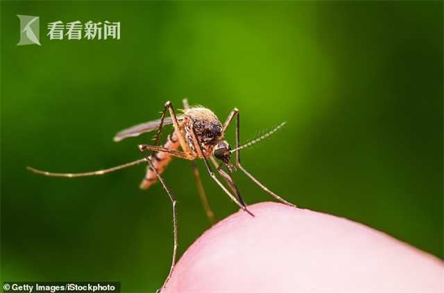 91黄色视频