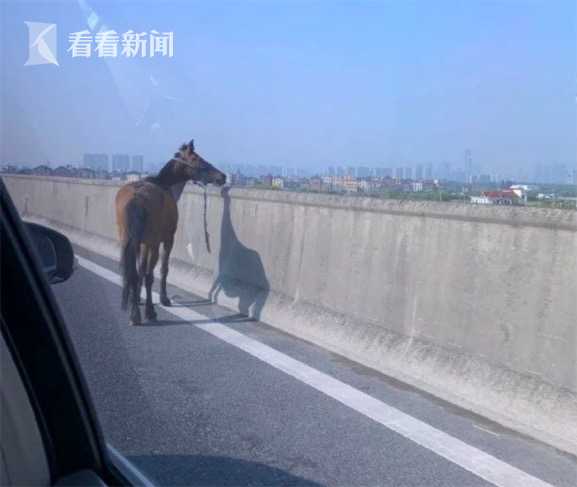 久久精彩