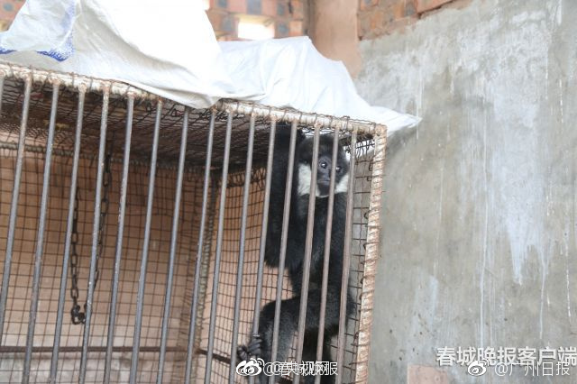 91精品国产一区