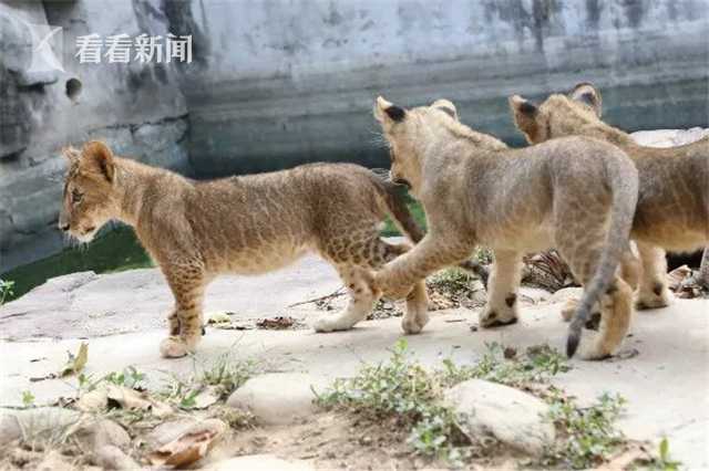 91丨九色丨白浆秘