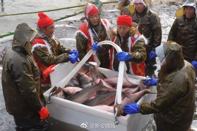 激情毛片