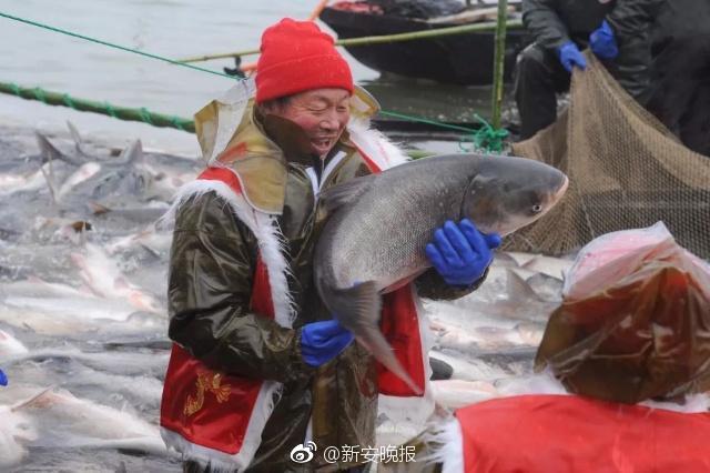 色情 电影 大全