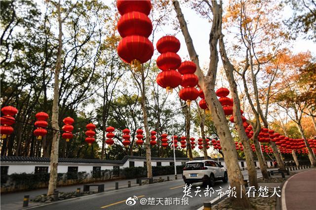 上身黄色网站