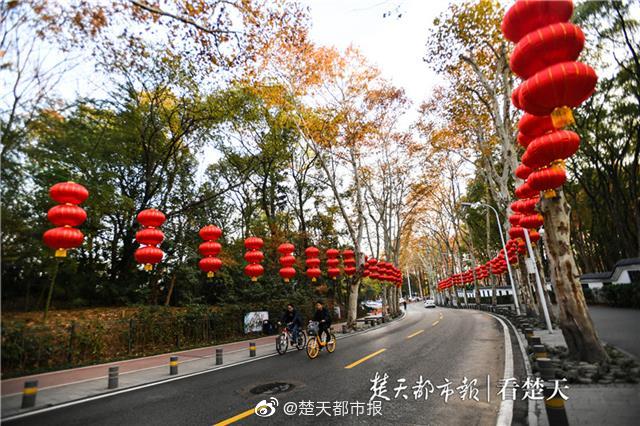 人妻精品动漫H无码迅雷