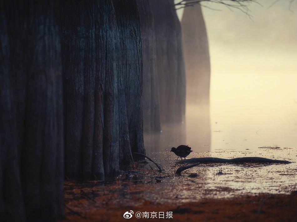 天天射天天干