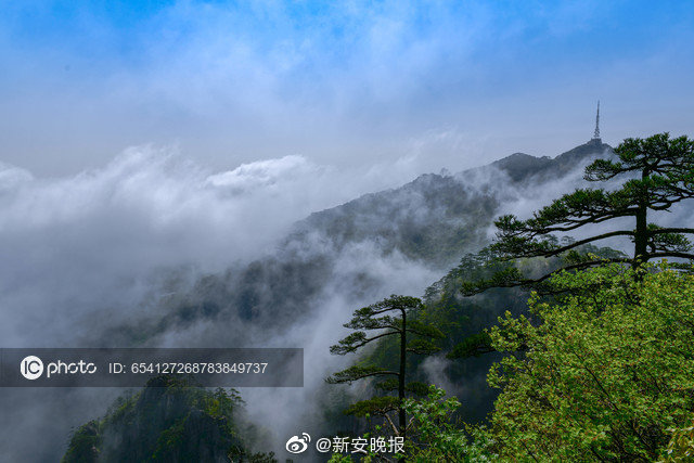 黄山市的gdp全部靠旅游吗_游黄山 泡醉温泉 第一晚宿山上酒店 酒店任选 第二晚宿醉温泉酒店,当雾之行,无霾之行,可自选(3)