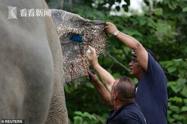 华人 成人 直播