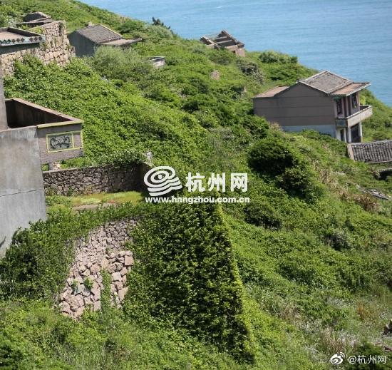 中文字幕无码伦理片
