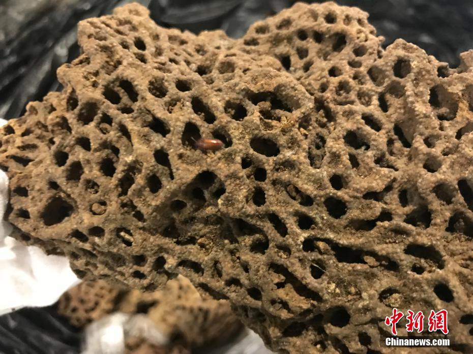 把内裤勒到屁缝羞耻打屁股