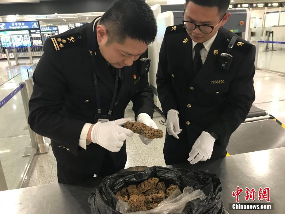 赤足惊魂