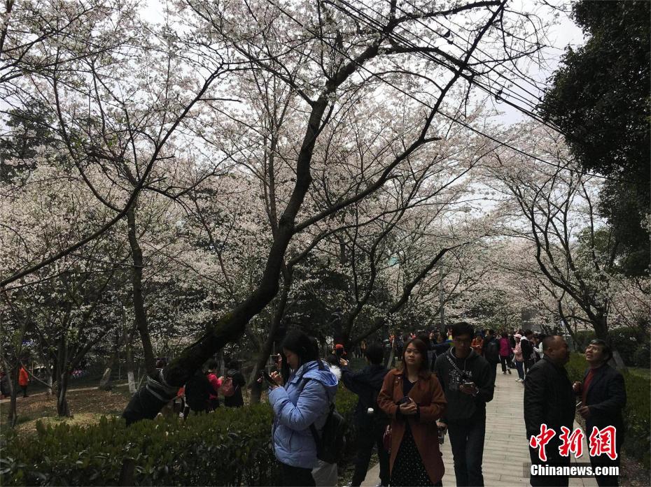 又骚又黄的高清无码视频动漫：：