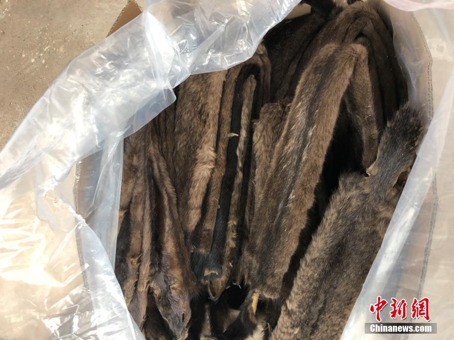 三级黄色视频