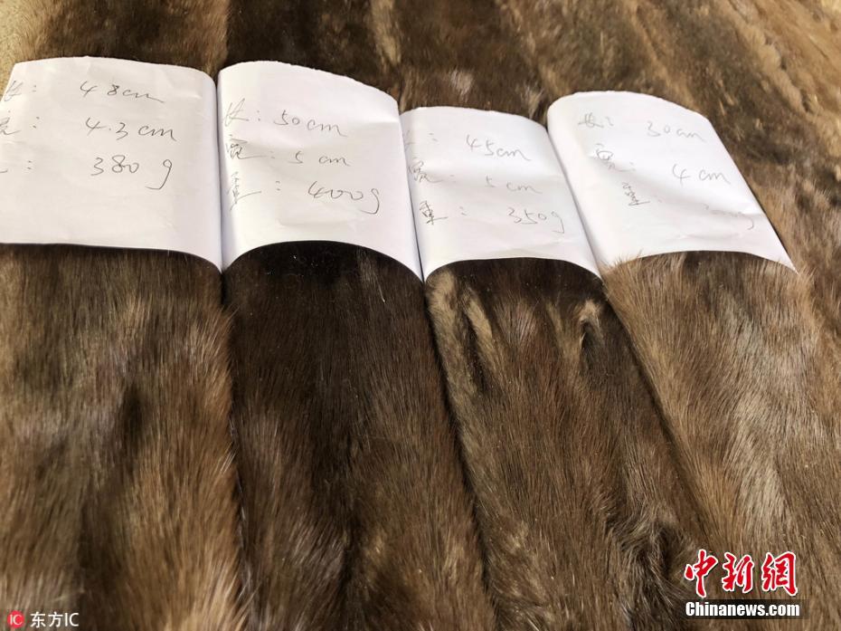 韩国美女日逼的一级片电影