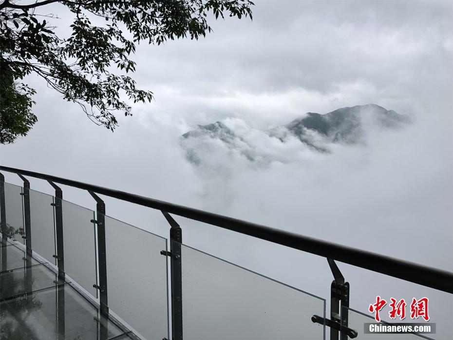 潘金莲一级纯黄毛片