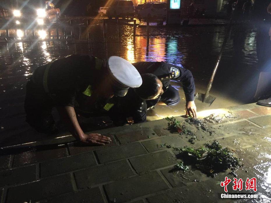 珍妮佛康納莉