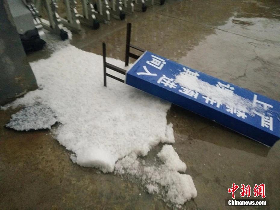 91人妻女友久久精品一区