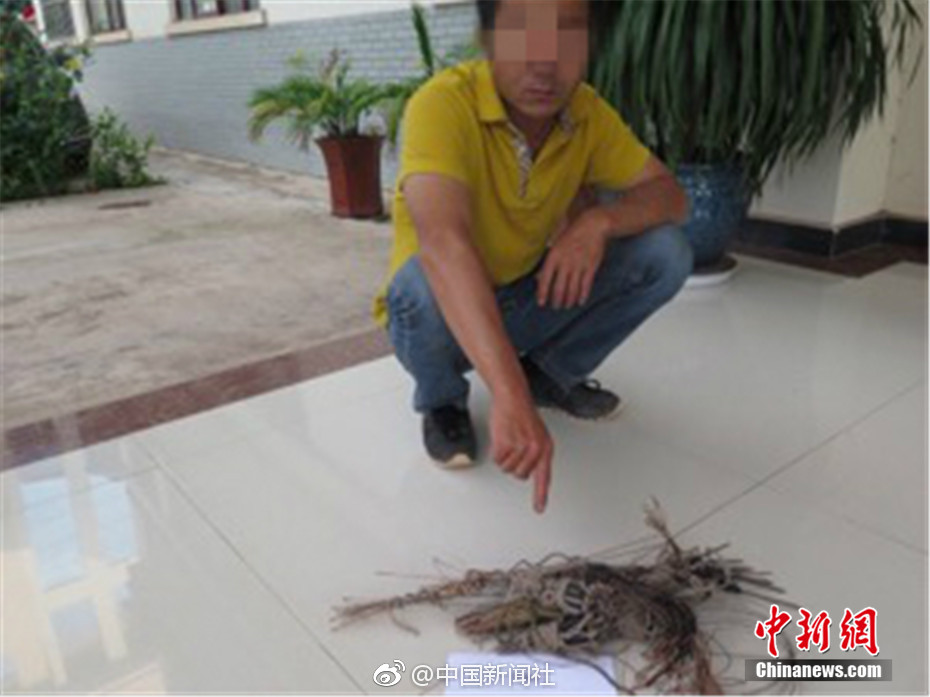 手机福利视频