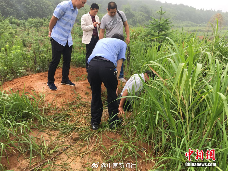 美女的黄网站视频社区在线