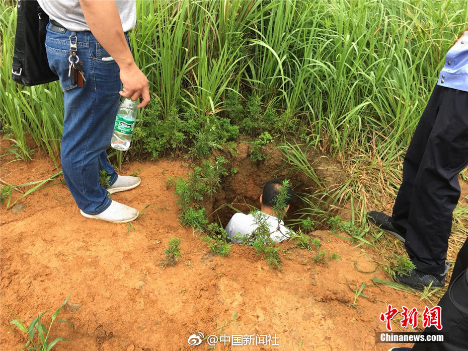中国熟妇骚逼