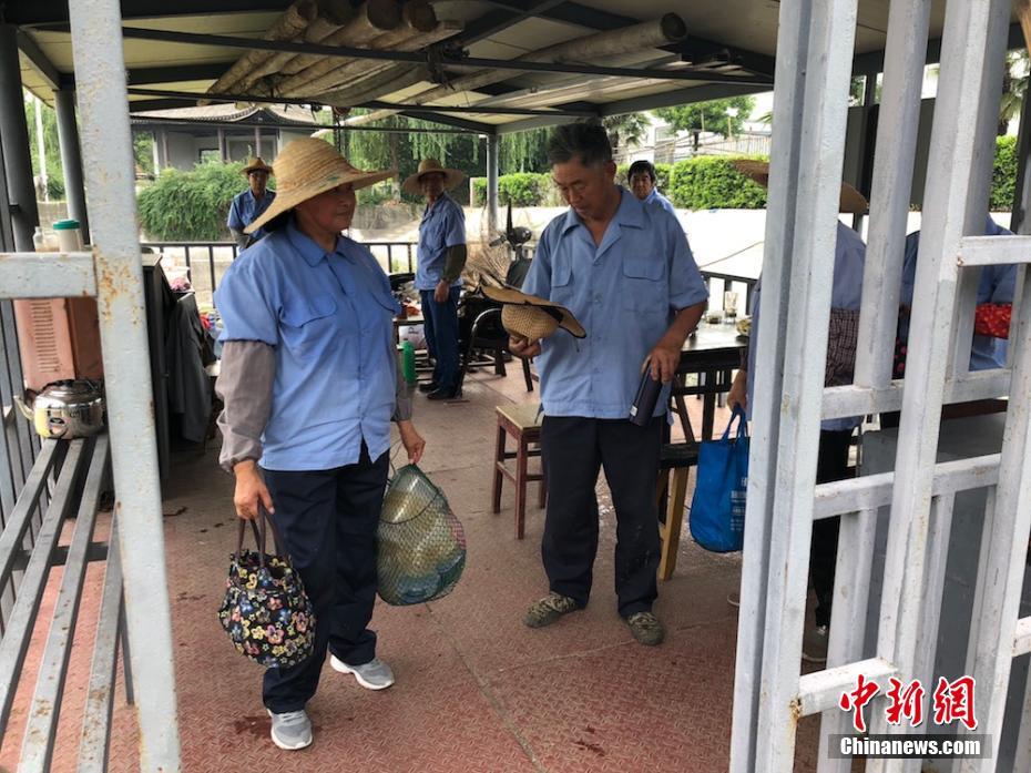 日本 成人 视频 网
