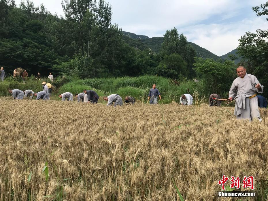 老太婆脱了裤子让我玩
