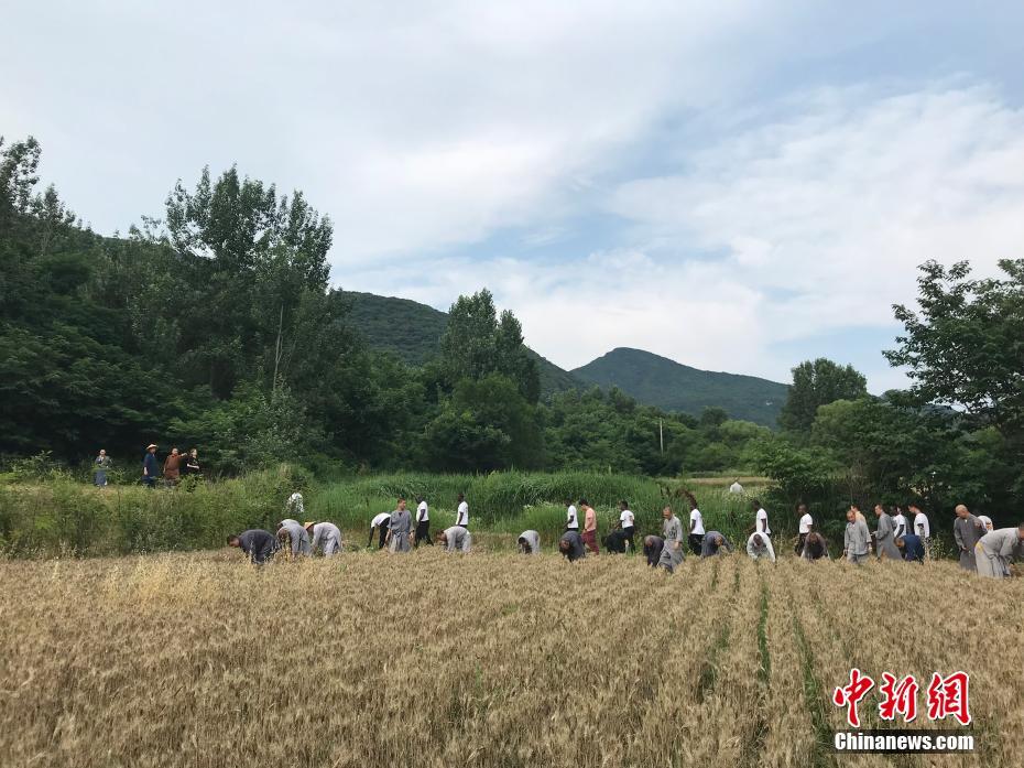 992tv免费影院在线观看