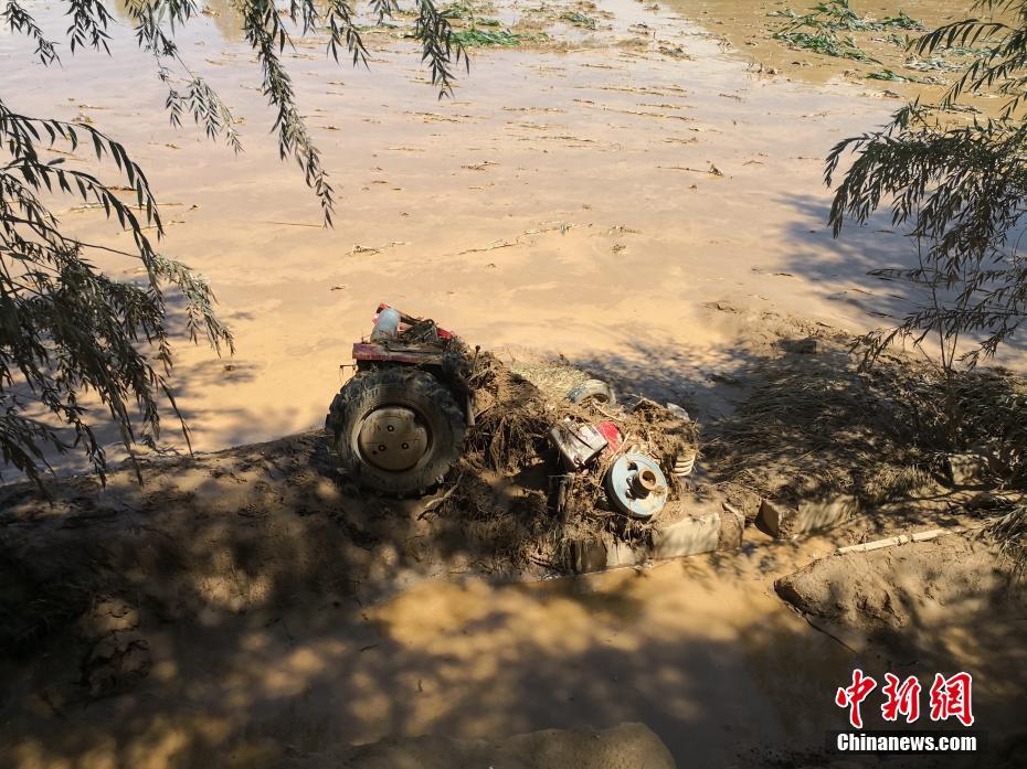 欧洲毛片