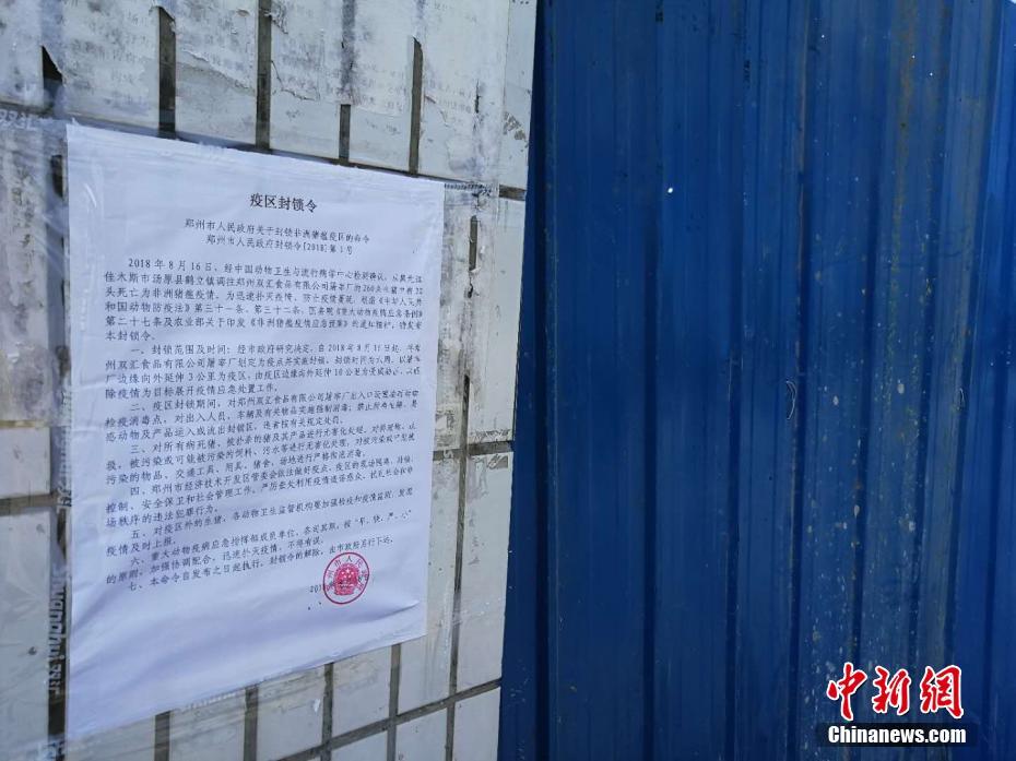 黄频网站