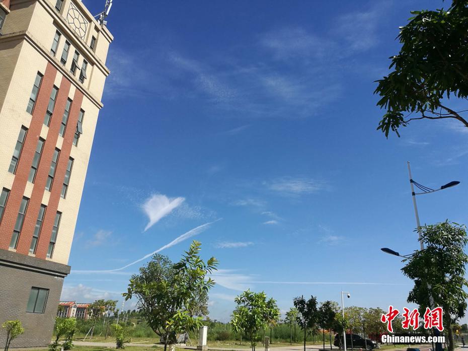 欧美秘 无码一区二区三区三浦