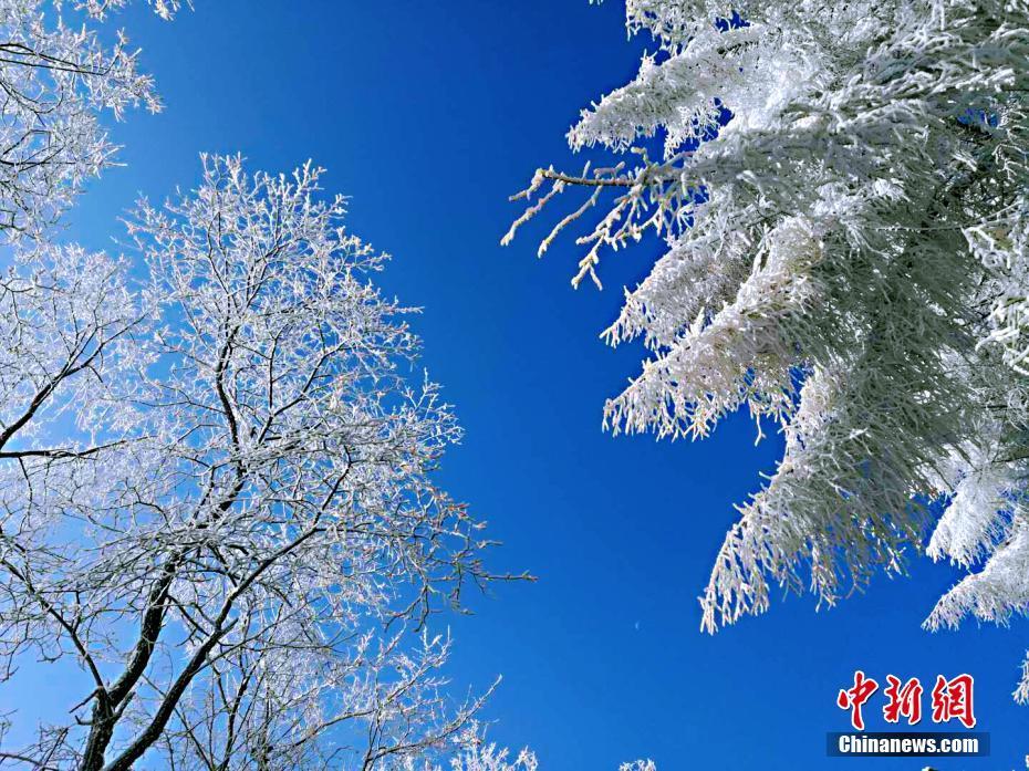 成人性做爰AAA片潘金莲