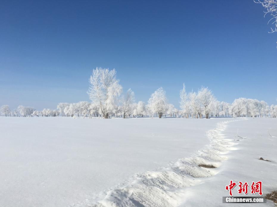 在线黄片Com