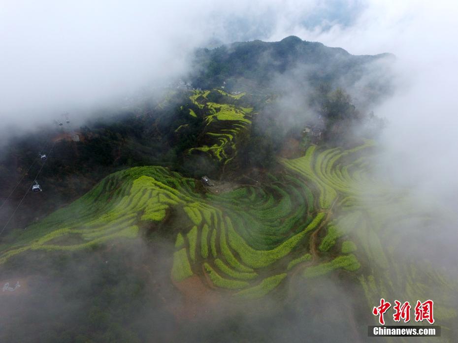 OVA我不该瞒着妻子参加漫展
