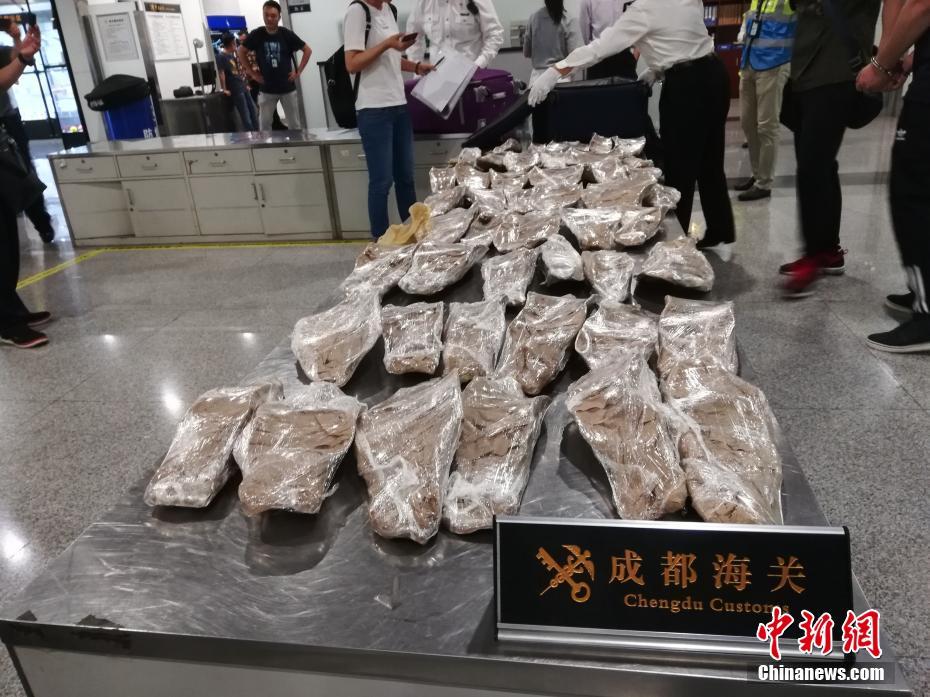 漂亮寶貝