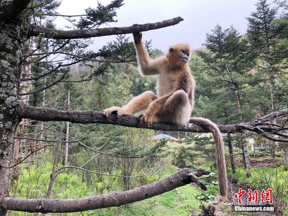 双乳赤裸裸跪趴掀裙子打屁股